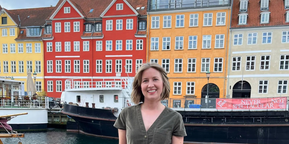 4-Living Cost in Denmark+